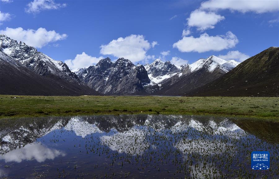（新華全媒頭條·聚焦生物多樣性大會·圖文互動）（7）攜手同行，開啟人類高質量發(fā)展新征程——習近平主席在《生物多樣性公約》第十五次締約方大會領導人峰會上的主旨講話解讀